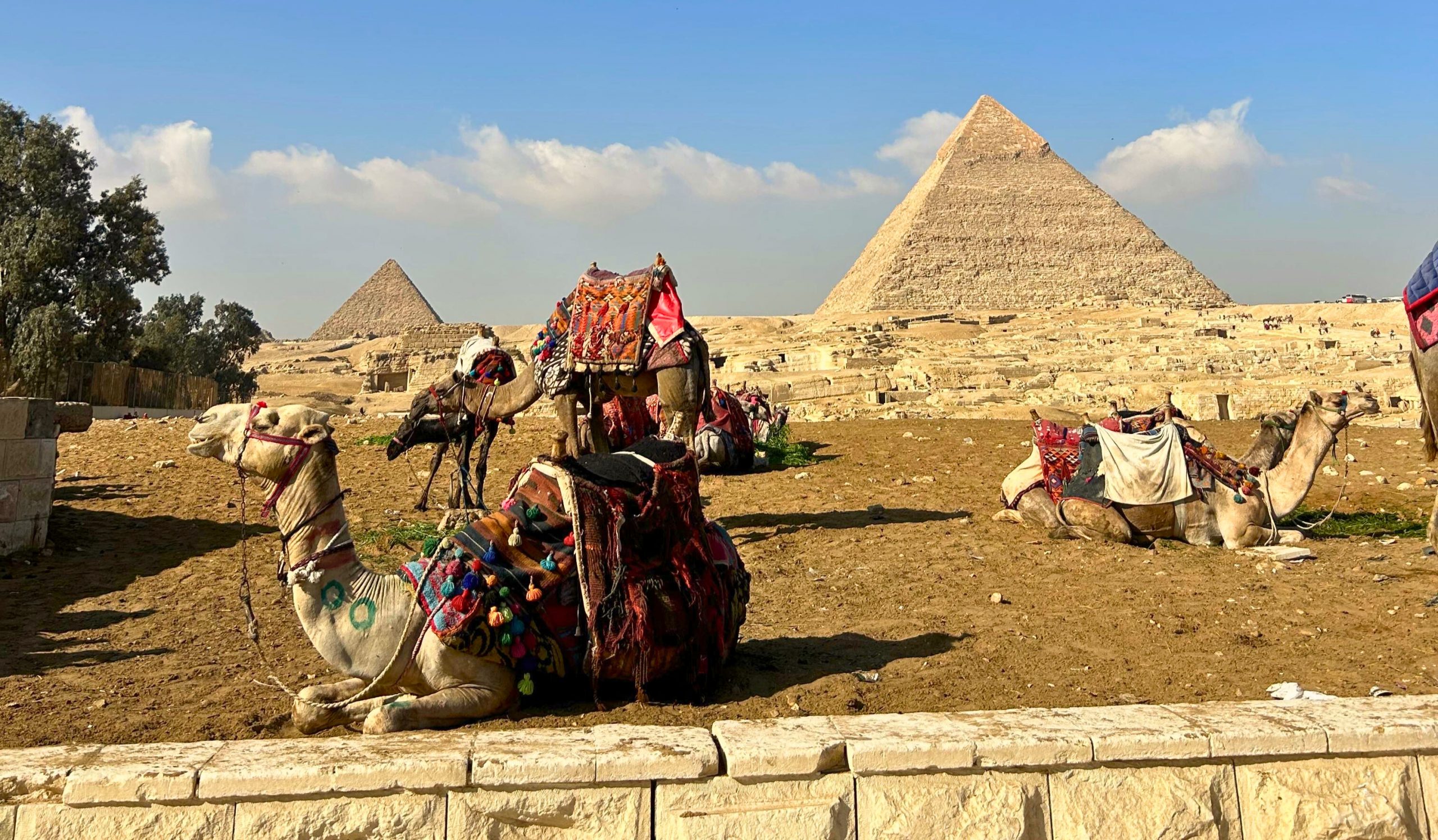 Putovanje u Egipat, Piramide i deve